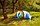 Палатка ACAMPER SONATA (4-местная, 3000 мм/ст), фото 5
