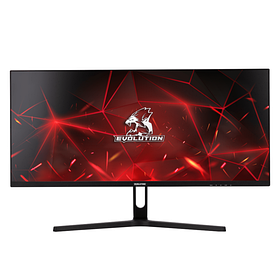 Монитор EVOLUTION Gaming 29" GX292kic UW IPS