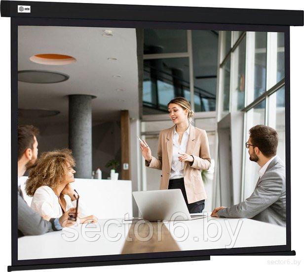 Проекционный экран CACTUS Wallscreen 168x299 CS-PSW-168X299-BK - фото 1 - id-p218227422