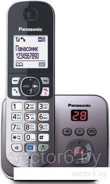 Радиотелефон Panasonic KX-TG6821, фото 2