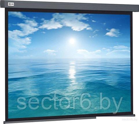 Проекционный экран CACTUS Wallscreen 104x186 CS-PSW-104X186-SG, фото 2