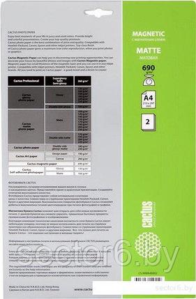 Бумага с магнитным слоем CACTUS Матовая A4 690 г/кв.м. 2 листа (CS-MMA46902), фото 2