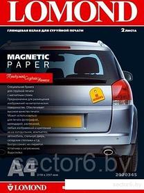 Фотобумага Lomond Magnetic Paper glossy A4, 660 г/м2 2л (2020345)