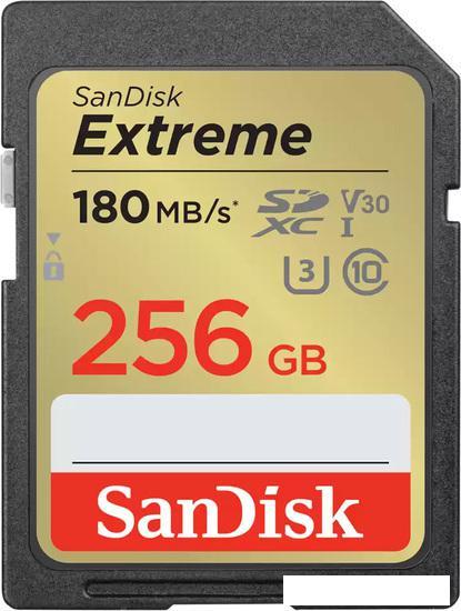 Карта памяти SanDisk Extreme SDXC SDSDXVV-256G-GNCIN 256GB - фото 1 - id-p218191759