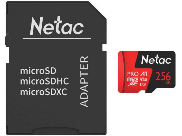 256Gb - Netac microSDHC P500 Pro NT02P500PRO-256G-R с переходником под SD (Оригинальная!) - фото 1 - id-p216513920