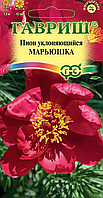 Пион Марьюшка 3шт Гавриш