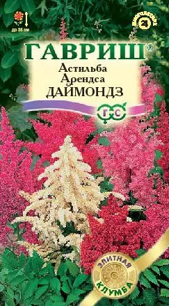 Астильба Арендса Даймондз 10шт Гавриш