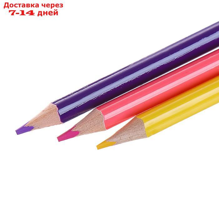 Карандаши двухцветные Maped Сolor Peps, трёхгранные, 24 цвета - 12 штук, европодвес - фото 5 - id-p218240828