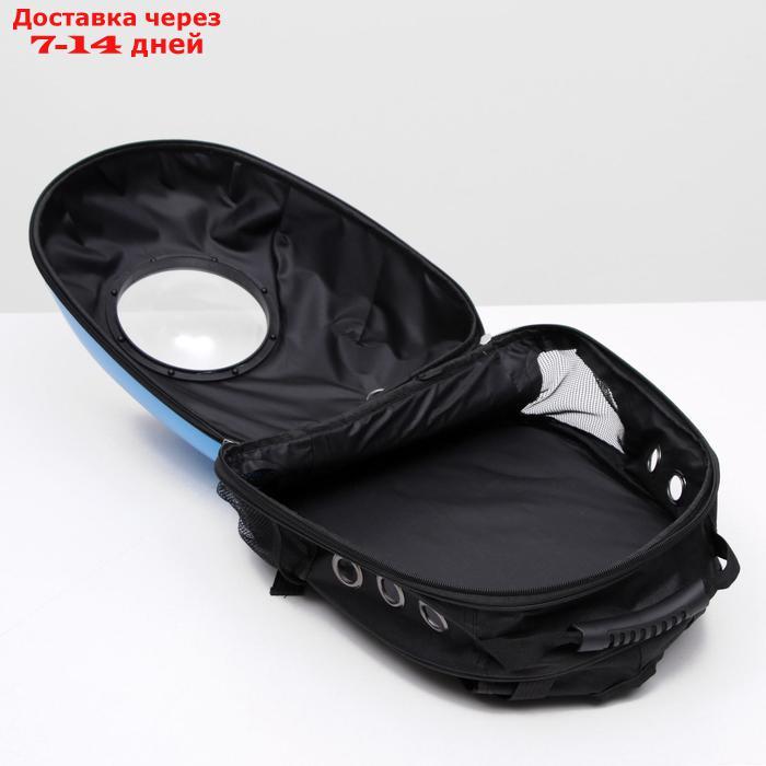 Рюкзак для переноски животных с окном для обзора, 32 х 22 х 43 см, голубой - фото 8 - id-p218243366