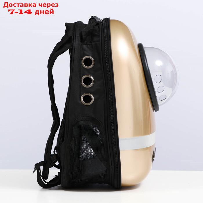 Рюкзак для переноски с окном для обзора и светоотражающей полосой, 32х26х44 см, золотистый - фото 3 - id-p218243367