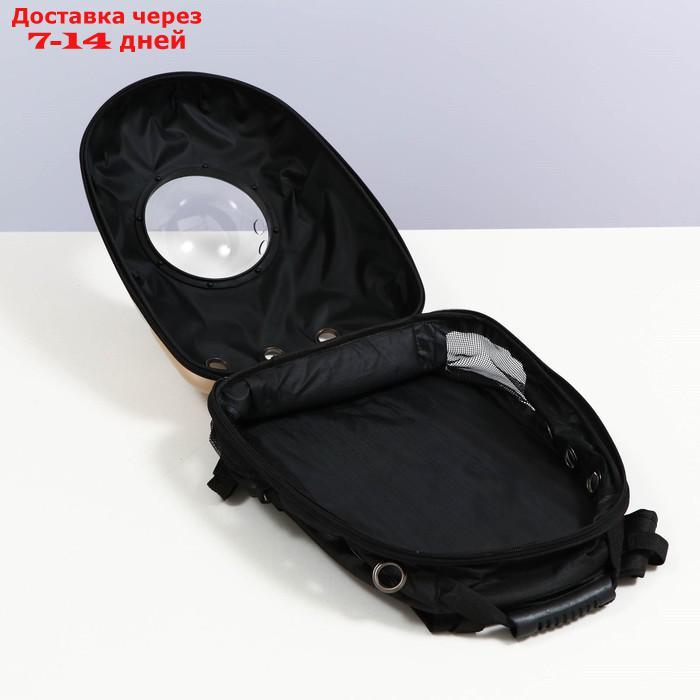 Рюкзак для переноски с окном для обзора и светоотражающей полосой, 32х26х44 см, золотистый - фото 8 - id-p218243367