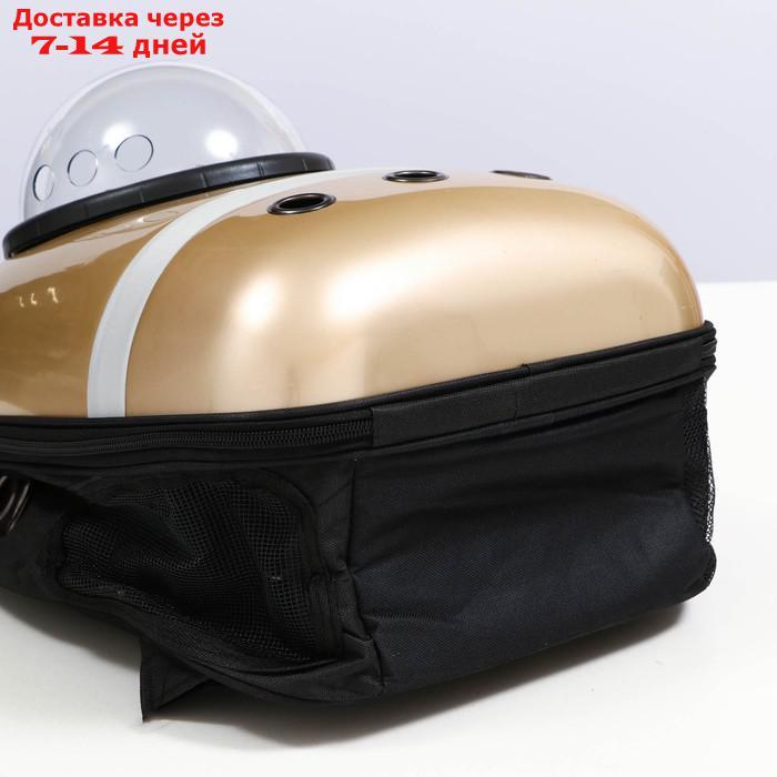Рюкзак для переноски с окном для обзора и светоотражающей полосой, 32х26х44 см, золотистый - фото 9 - id-p218243367