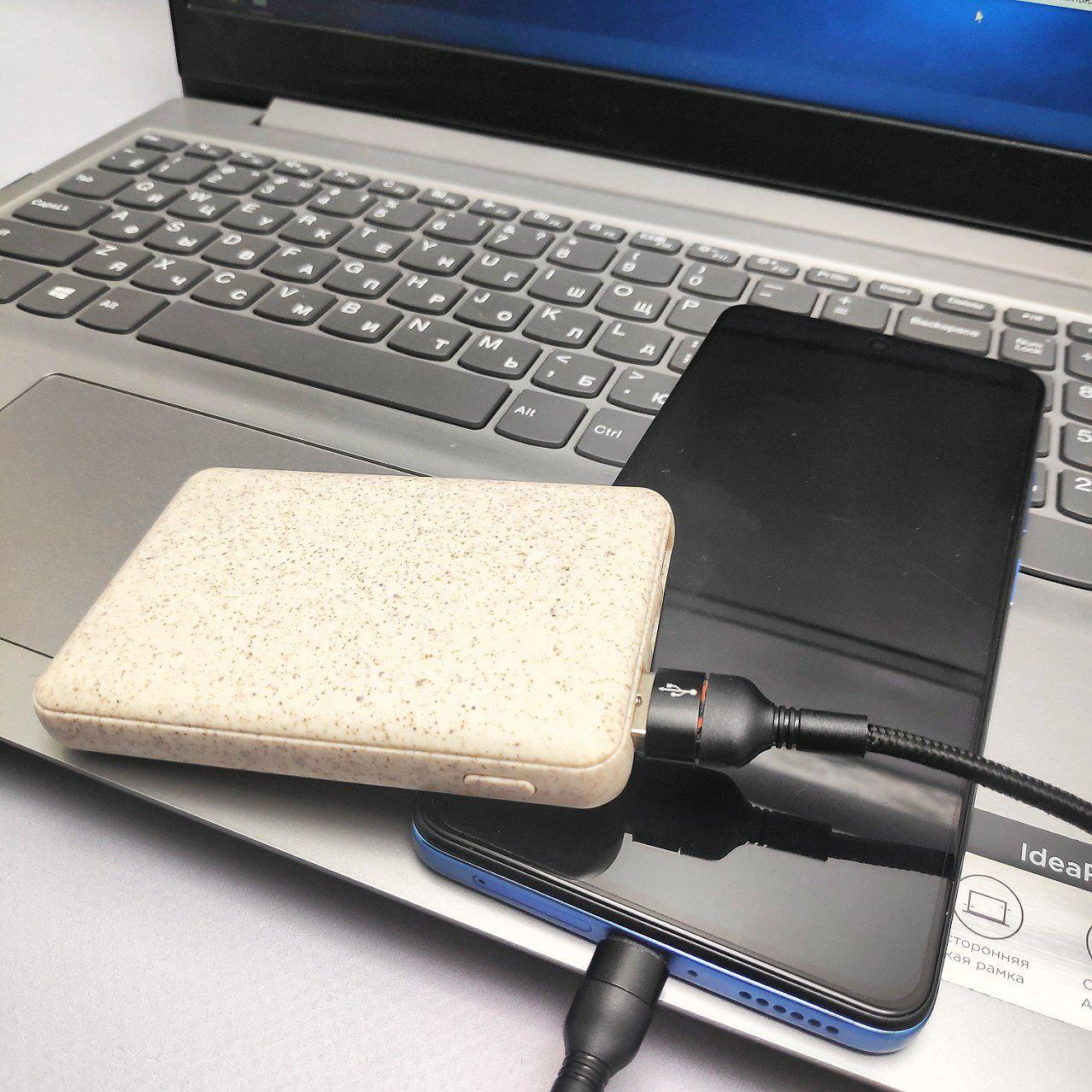 Портативное зарядное устройство Power Bank 5000 mAh из пшеничного волокна / Micro-USB, 2 USB-выхода - фото 3 - id-p218294536