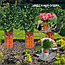 Защита стволов деревьев, кустарников и цветов, терракотовый, 35х21 см / 5 шт, фото 6