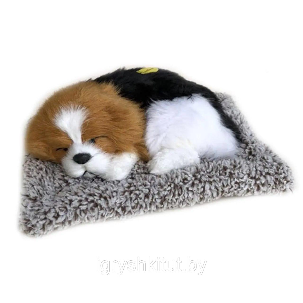 Игрушка Спящий щенок на подушке,лает, в ассортименте - фото 1 - id-p218319280