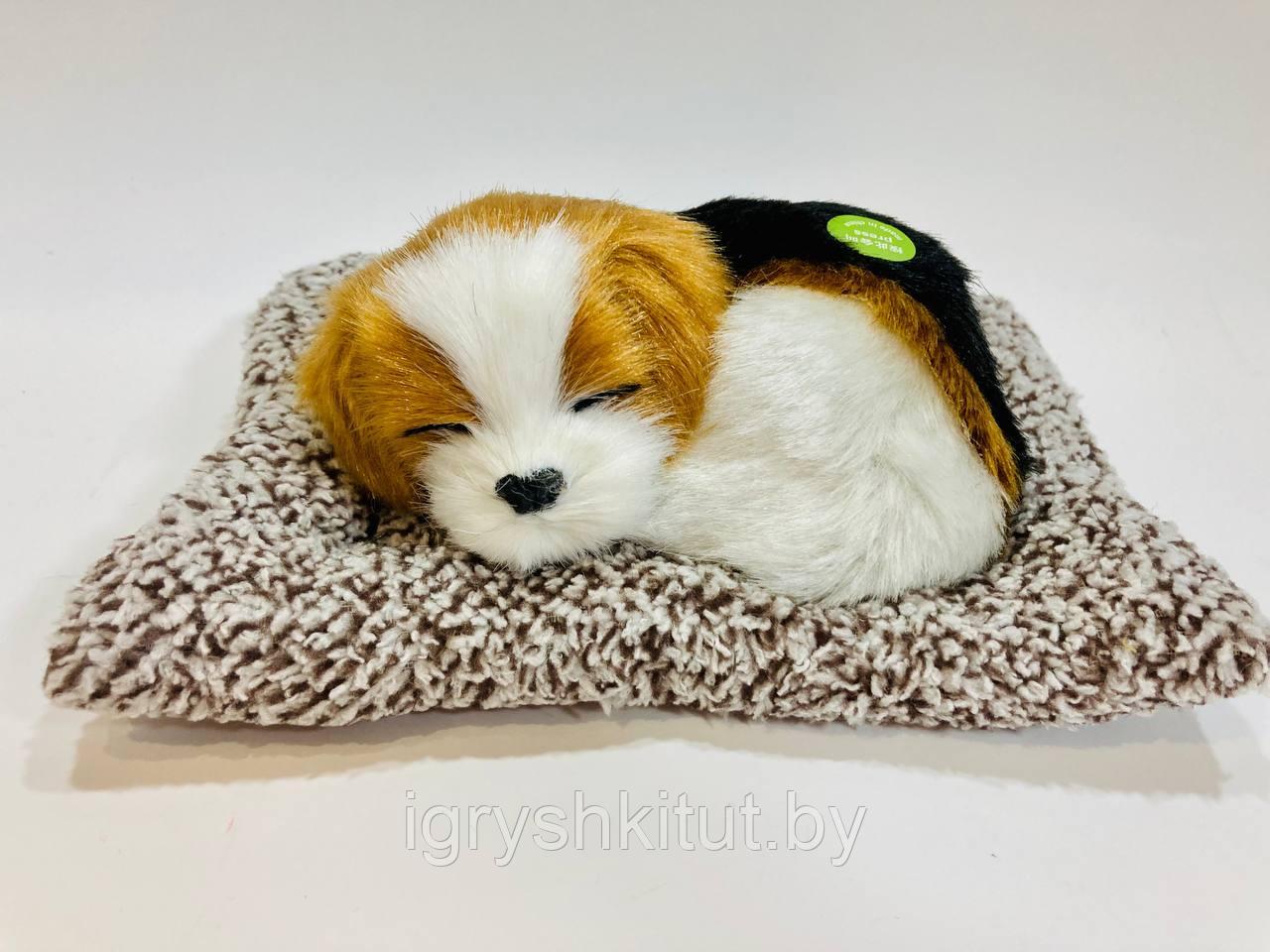 Игрушка Спящий щенок на подушке,лает, в ассортименте - фото 5 - id-p218319280