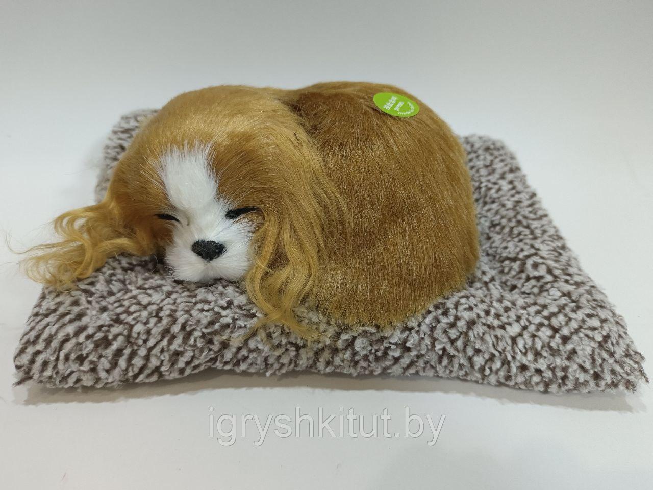 Игрушка Спящий щенок на подушке,лает, в ассортименте - фото 3 - id-p218319280