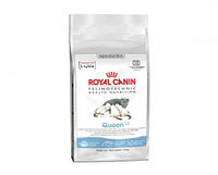 Royal Canin Queen Cat, 4 кг