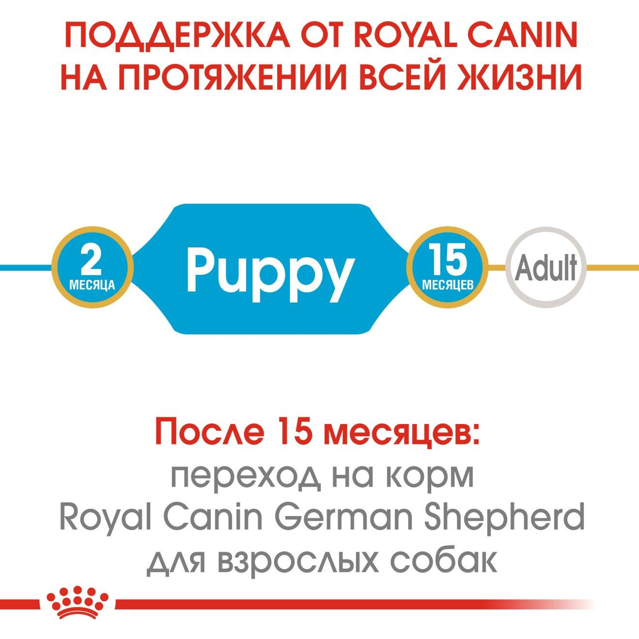 Royal Canin German Shepherd Puppy, 12 кг - фото 5 - id-p218321296