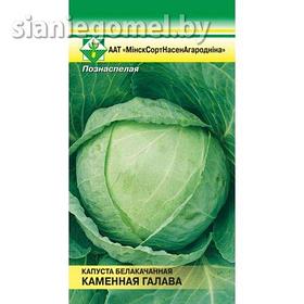 КАПУСТА КАМЕННАЯ ГОЛОВА БЕЛОКАЧАННАЯ