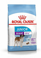 Royal Canin Junior Giant, 15 кг