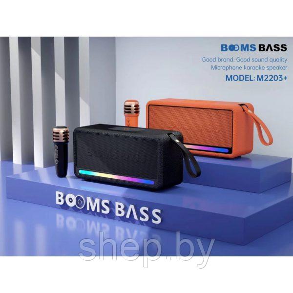 Беспроводная Караоке система Booms Bass M2203+ с беспроводным микрофоном. Цвет: уточняйте - фото 1 - id-p218325651