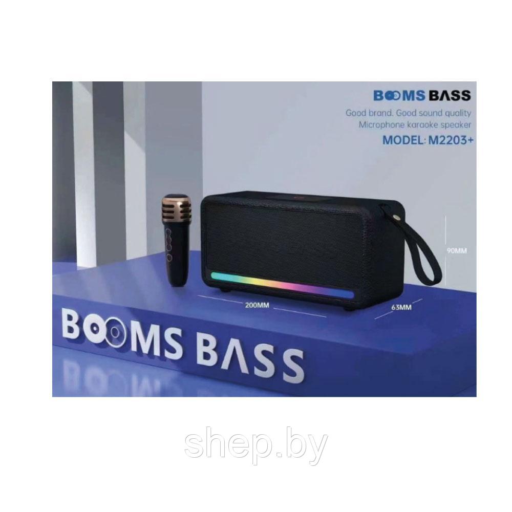 Беспроводная Караоке система Booms Bass M2203+ с беспроводным микрофоном. Цвет: уточняйте - фото 2 - id-p218325651