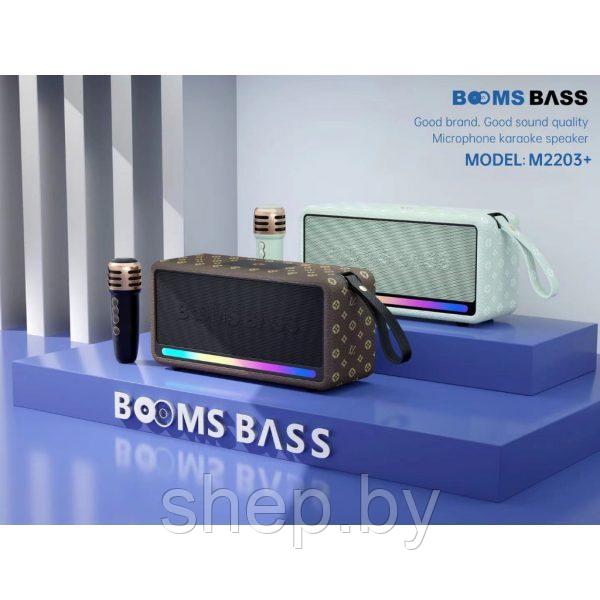 Беспроводная Караоке система Booms Bass M2203+ с беспроводным микрофоном. Цвет: уточняйте - фото 3 - id-p218325651