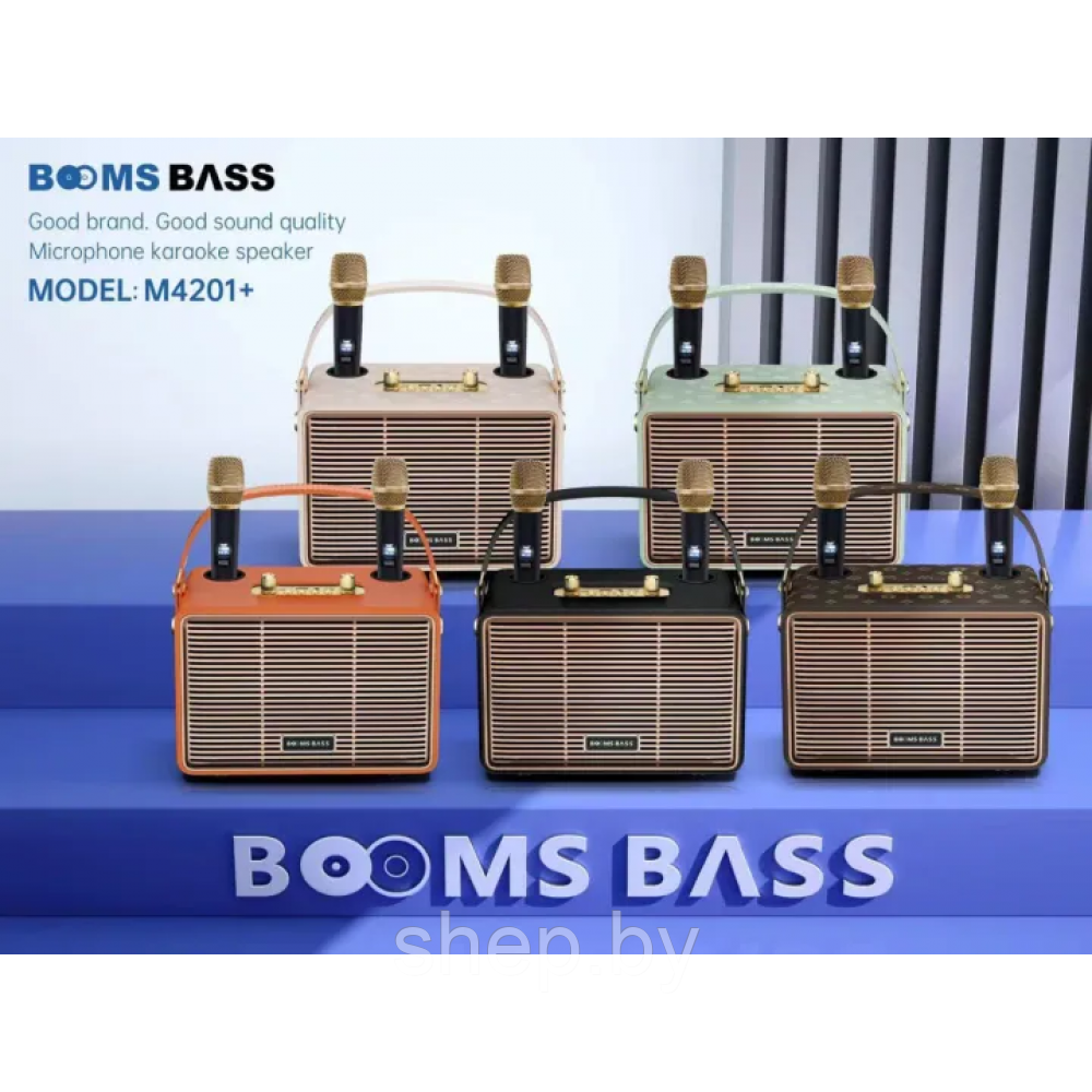 Беспроводная Караоке система BOOMS BASS M4201+ с 2-мя беспроводными микрофонами. Цвет: уточняйте - фото 7 - id-p218325653