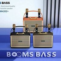 Беспроводная Караоке система BOOMS BASS M4202+ с 2-мя беспроводными микрофонами. Цвет: уточняйте