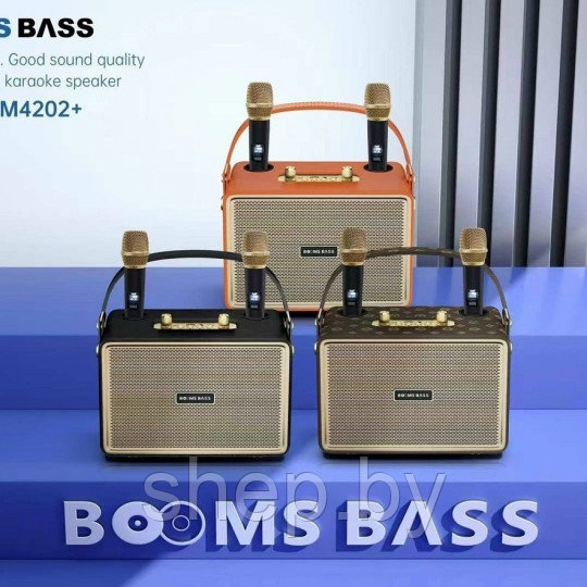 Беспроводная Караоке система BOOMS BASS M4202+ с 2-мя беспроводными микрофонами. Цвет: уточняйте - фото 1 - id-p218325662
