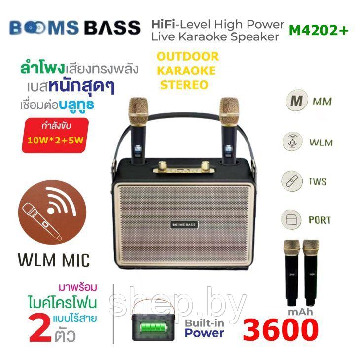 Беспроводная Караоке система BOOMS BASS M4202+ с 2-мя беспроводными микрофонами. Цвет: уточняйте - фото 2 - id-p218325662