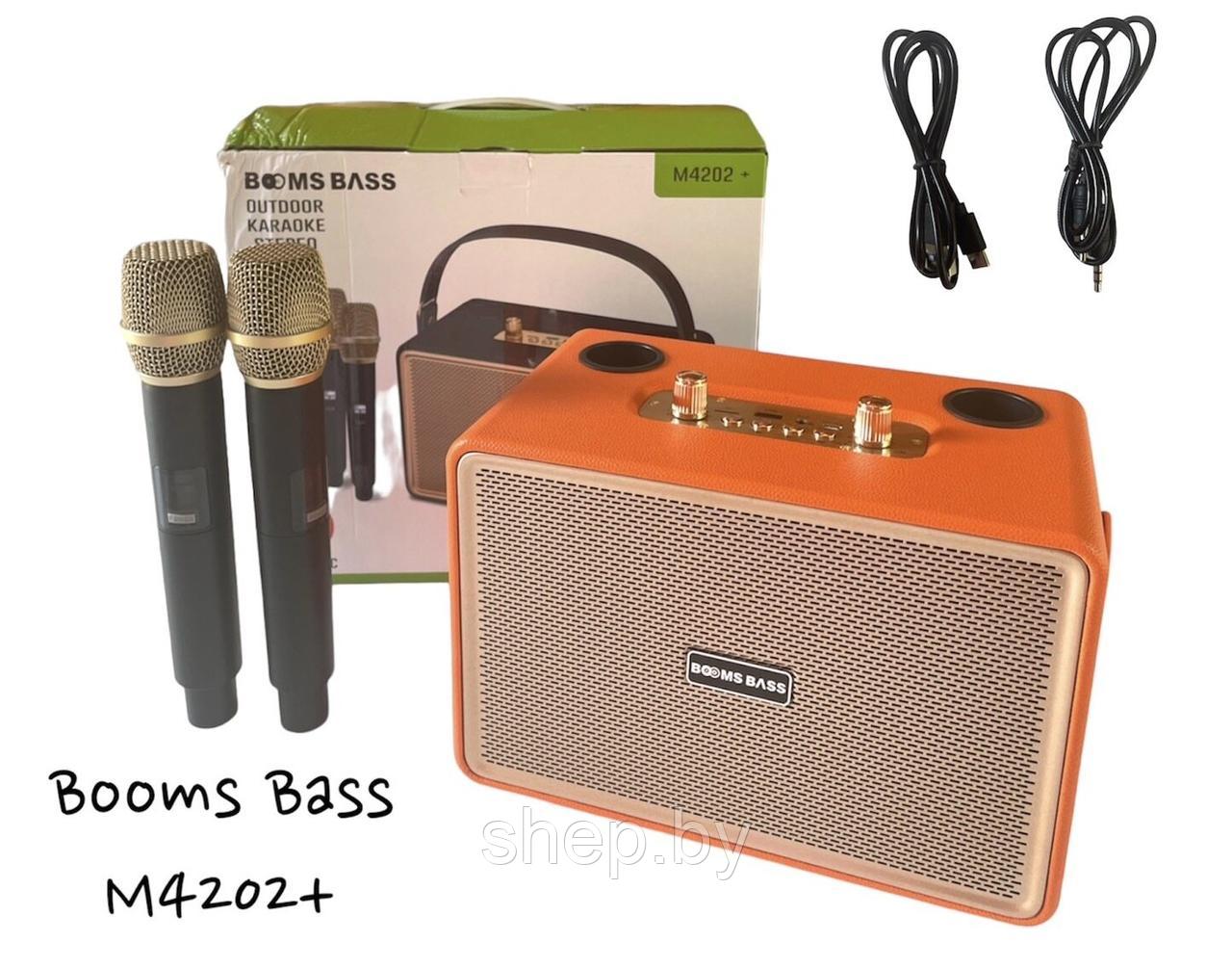 Беспроводная Караоке система BOOMS BASS M4202+ с 2-мя беспроводными микрофонами. Цвет: уточняйте - фото 3 - id-p218325662
