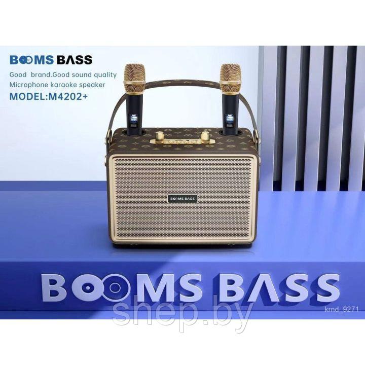 Беспроводная Караоке система BOOMS BASS M4202+ с 2-мя беспроводными микрофонами. Цвет: уточняйте - фото 5 - id-p218325662
