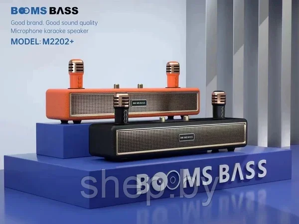 Беспроводная Караоке система BOOMS BASS M2202+ с 2-мя беспроводными микрофонами. Цвет: уточняйте - фото 3 - id-p218325744
