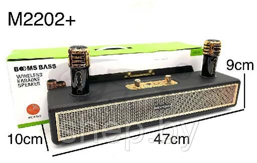 Беспроводная Караоке система BOOMS BASS M2202+ с 2-мя беспроводными микрофонами. Цвет: уточняйте - фото 6 - id-p218325744
