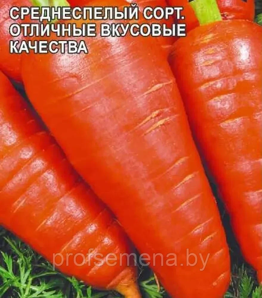 Морковь столовая Шантенэ Роял, семена, 2гр., (аэ)