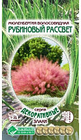 Мюленбергия волосовидная «Рубиновый Рассвет» (5 шт)