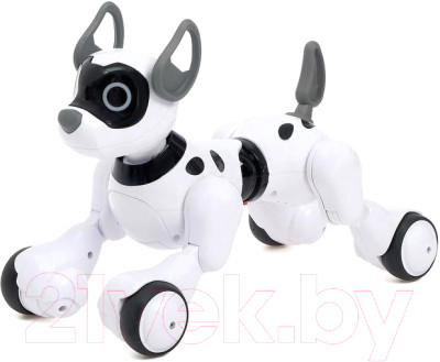 Радиоуправляемая игрушка IQ Bot Собака Koddy / 4376315 - фото 3 - id-p218345018