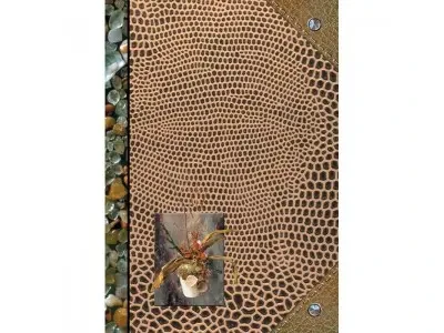 Книга канцелярская "Камешки", А4, клетка, 96л (Цена с НДС)