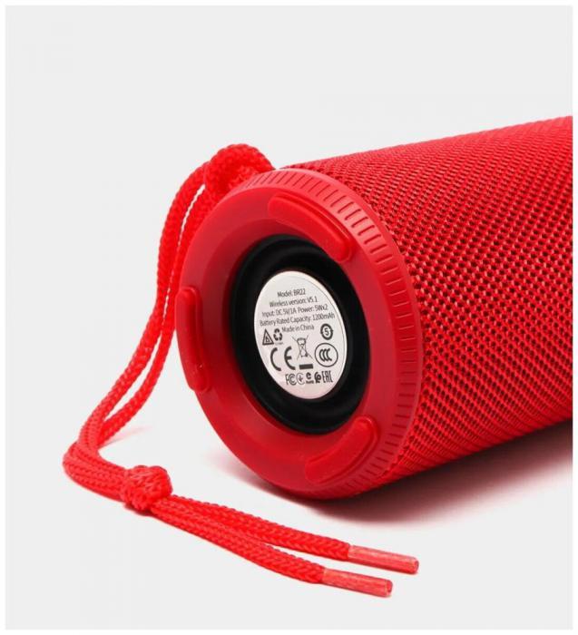 Портативная беспроводная колонка bluetooth с FM радио USB флешкой и Aux BOROFONE BR22 sport BT красный - фото 4 - id-p218378414