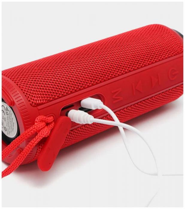 Портативная беспроводная колонка bluetooth с FM радио USB флешкой и Aux BOROFONE BR22 sport BT красный - фото 6 - id-p218378414