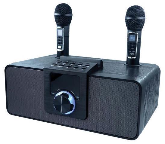 Портативная акустическая система с Bluetooth караоке колонка 2 микрофона RITMIX SP-660B черный - фото 1 - id-p218378418