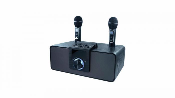 Портативная акустическая система с Bluetooth караоке колонка 2 микрофона RITMIX SP-660B черный - фото 2 - id-p218378418