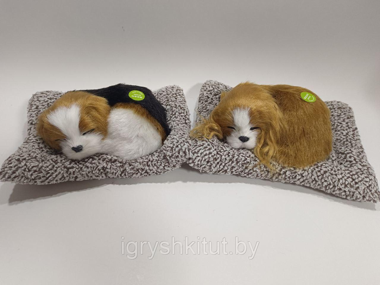 Игрушка Спящий щенок на подушке,лает, в ассортименте - фото 4 - id-p218319280