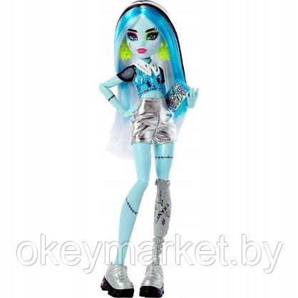 Кукла Монстер Хай Monster High Фрэнки Штейн HKY62, фото 3