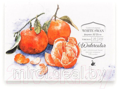 Альбом для рисования Малевичъ White Swan / 401444 - фото 1 - id-p218423115
