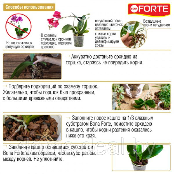 Удобрение Bona Forte органо-минеральное (концентрат) для ОРХИДЕЙ серия ЗДОРОВЬЕ, 285мл Bona Forte Удобрение - фото 2 - id-p218430240