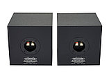 Студийные мониторы Auratone 5C Passive Pair Black, фото 4