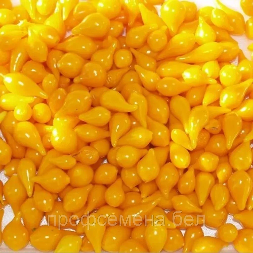Перец китайский Бикиньо жёлтый, семена, 7 шт., (аэ) - фото 1 - id-p218431198